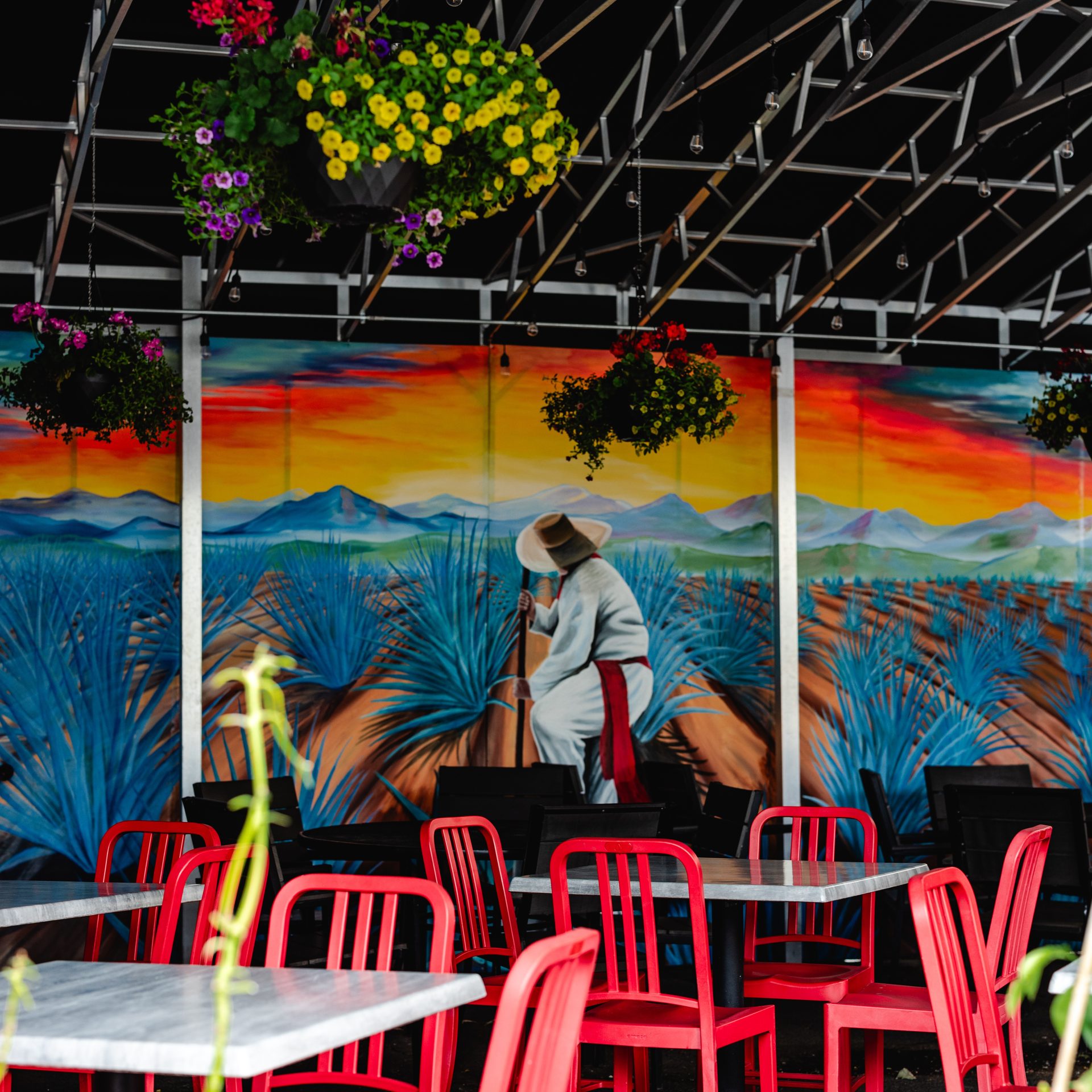 A Downtown Grand Rapids Culinary Journey