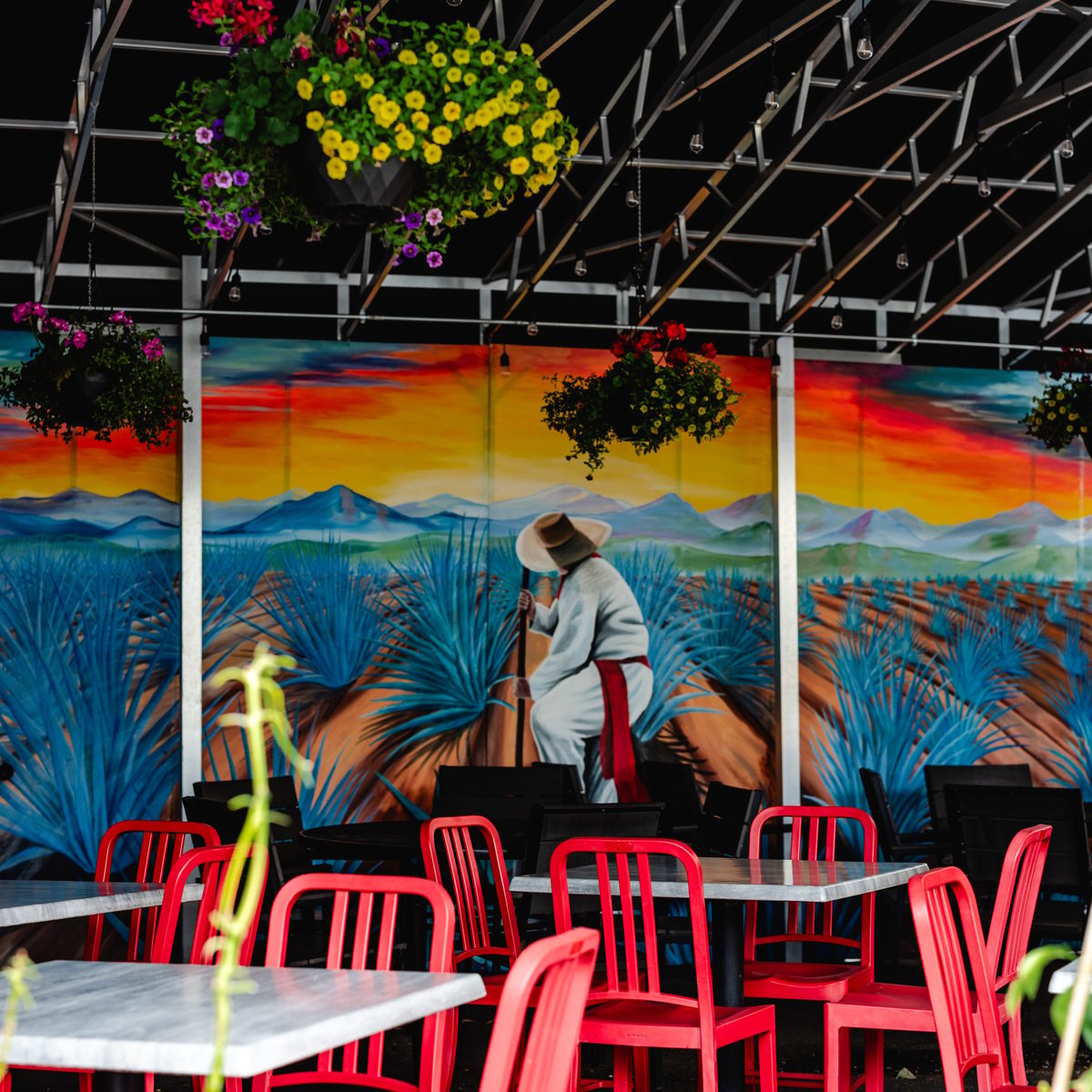 A Downtown Grand Rapids Culinary Journey