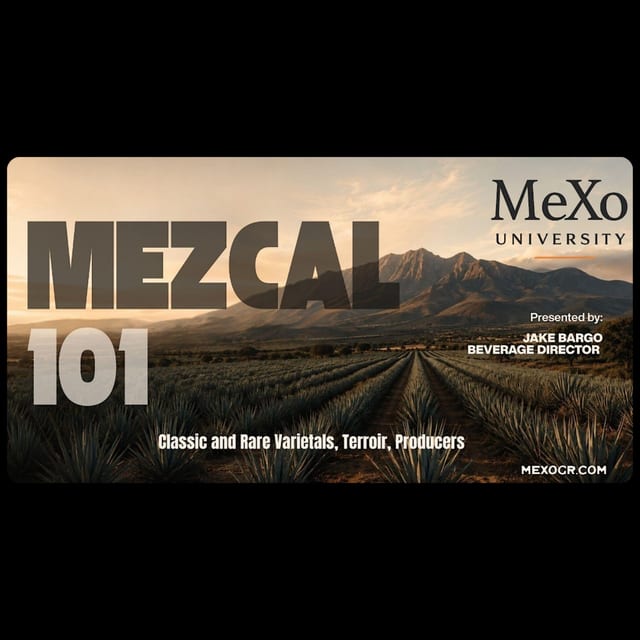 MeXo University | Mezcal 101